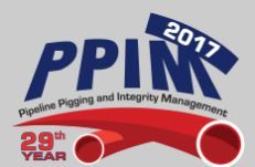 Pipeline Pigging Conference PPIM